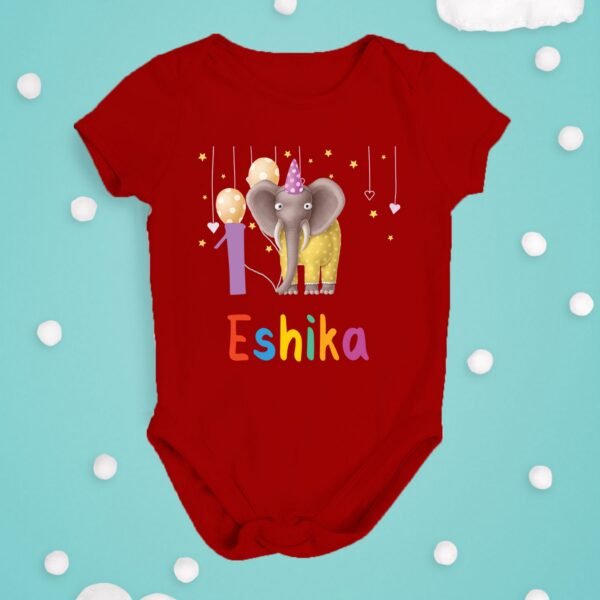 Personalized First Birthday Baby Rompers/T-Shirts