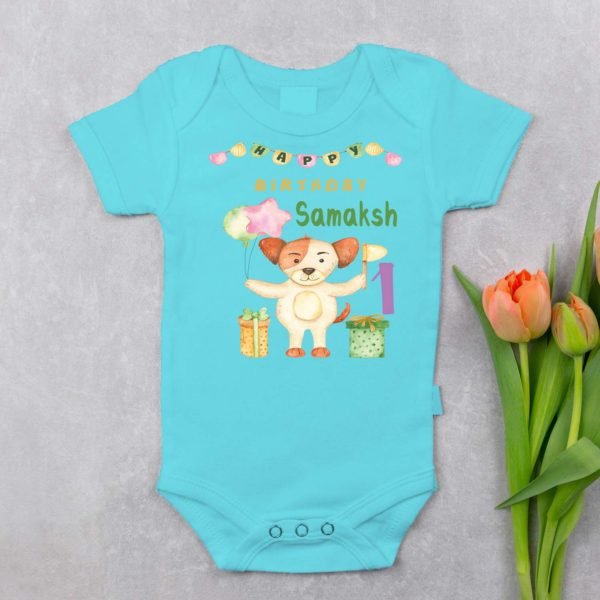 Personalized First Birthday Baby Rompers/T-Shirts