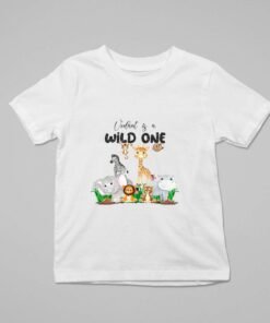Personalized First Birthday Baby Rompers/T-Shirts