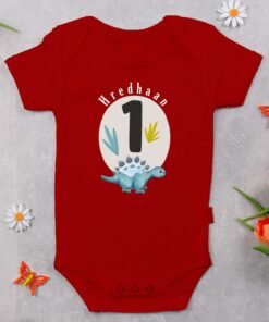 Personalized First Birthday Baby Rompers/T-Shirts