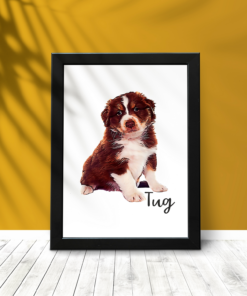 Personalised Pet Portrait Wall Frames - Gifts for Pet Lovers