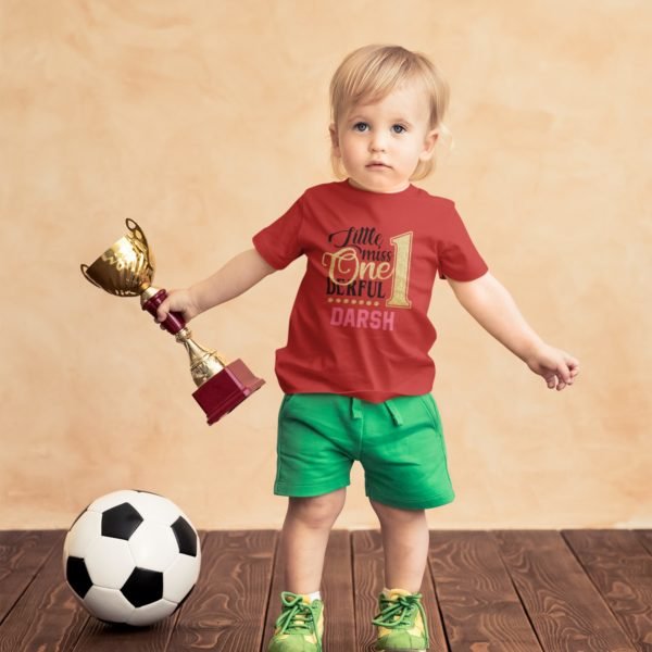 Personalized First Birthday Baby Rompers/T-Shirts