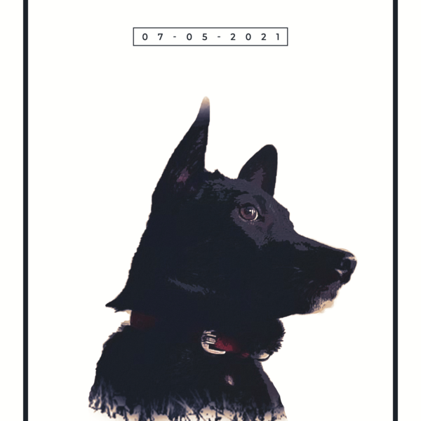 Alternative view of Personalised Pet Portrait Wall Frames - Gifts for Pet Lovers